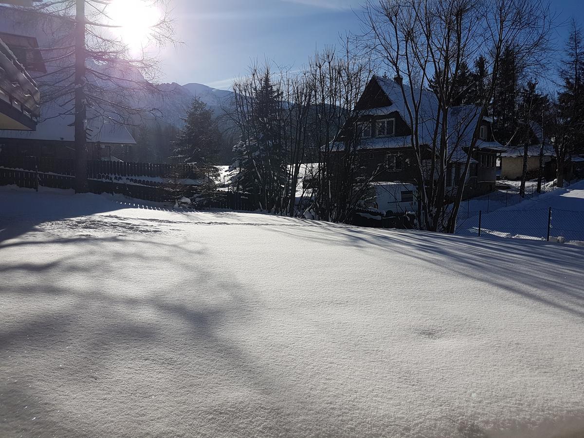 Willa Sunshine Zakopane Chalet Kültér fotó