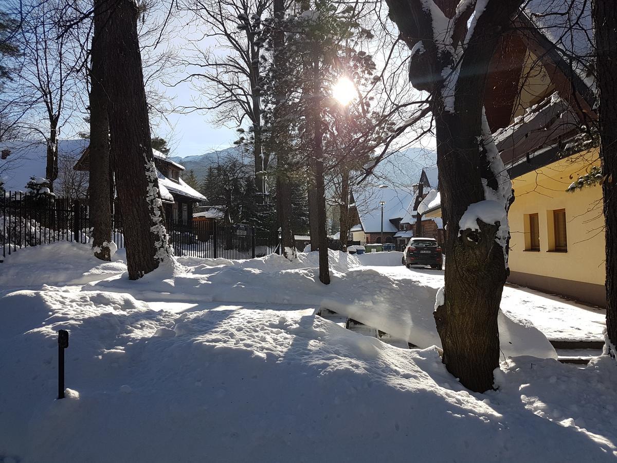 Willa Sunshine Zakopane Chalet Kültér fotó